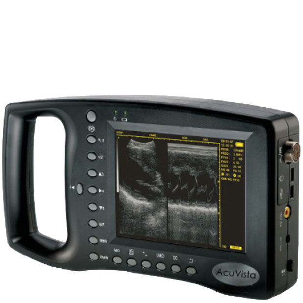 Acuvista VT880B