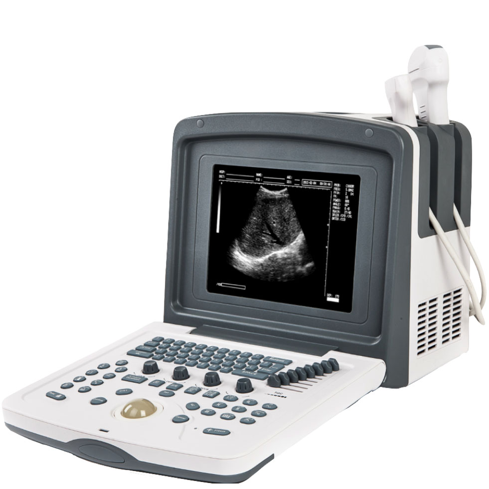 Acuvista RS880I