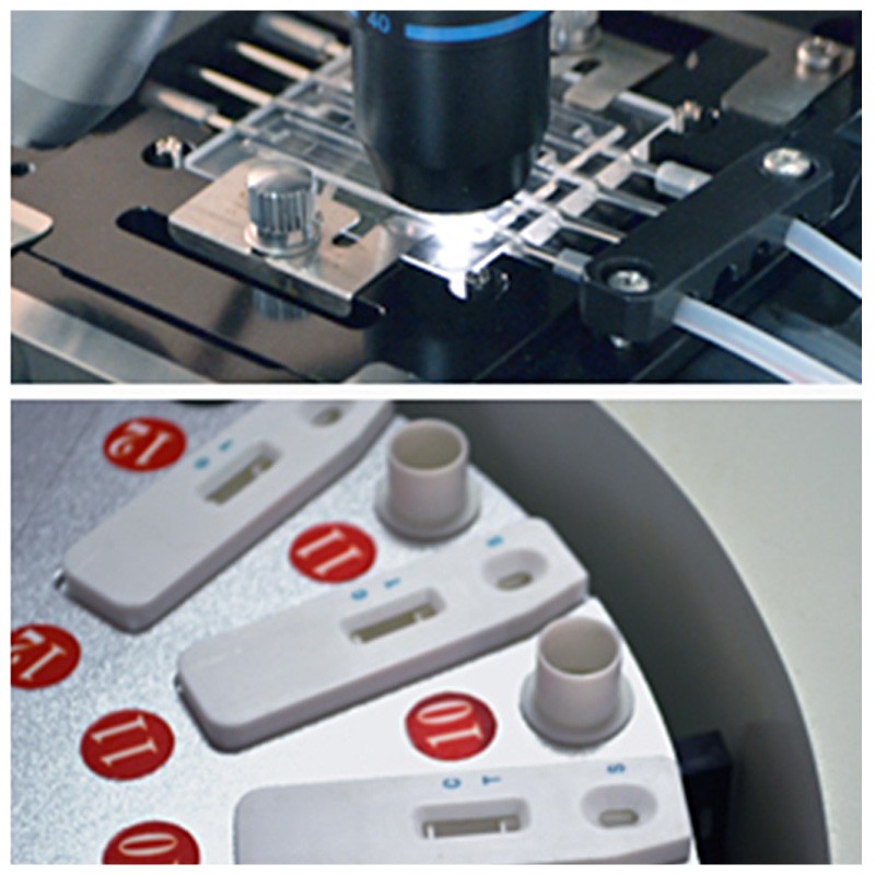 Xiamen Sciendox Biological Tecnology Sciendox 50