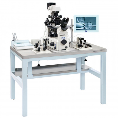 K-Systems AV1
