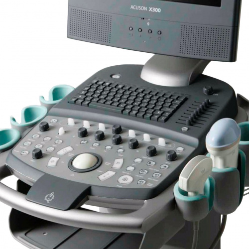 Siemens Acuson X300