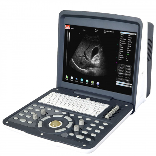 Acuvista RS880D
