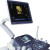 Landwind Mirror 2 plus
