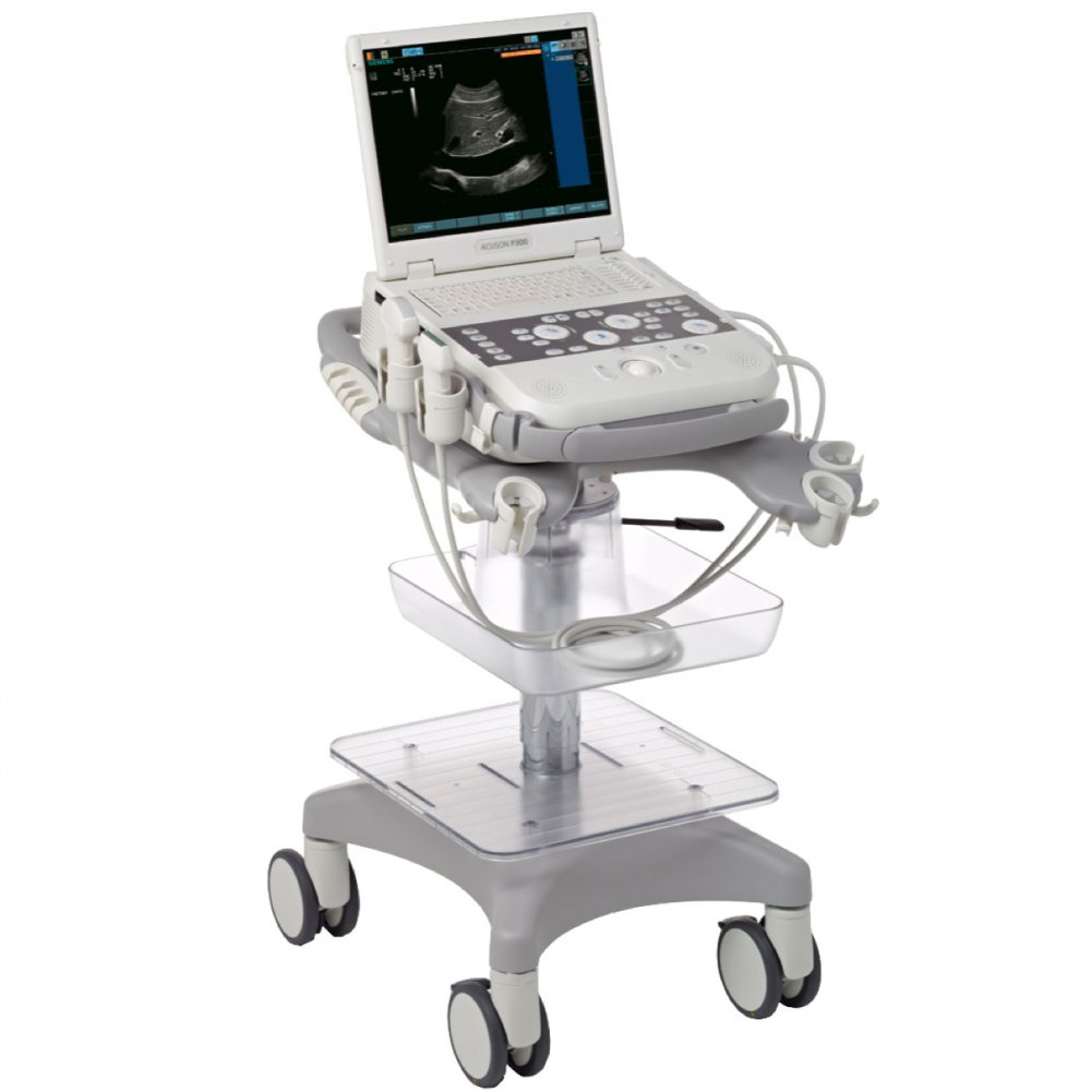 Siemens Acuson P300