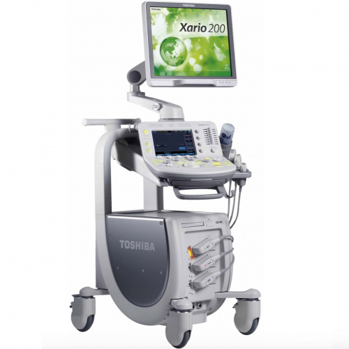 Canon (Toshiba) Xario 200