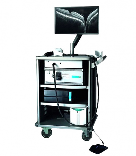 Bioptigen Envisu C2300