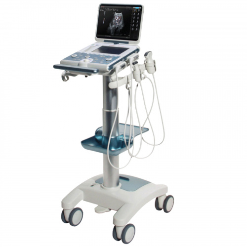 Esaote MyLab Omega