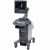 Siemens Acuson X150