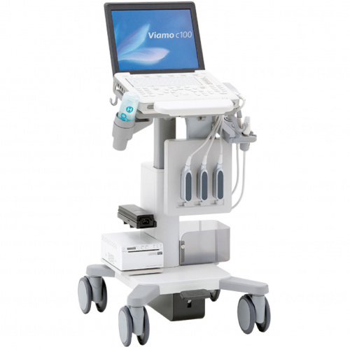 Canon (Toshiba) Viamo c100