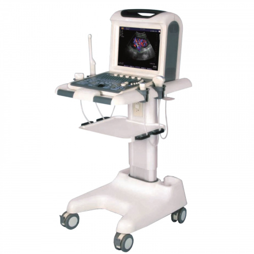 Dixion Explorer 2100