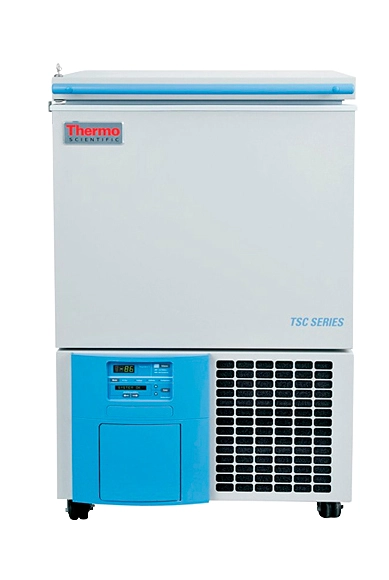 Thermo Fisher Scientific Forma 8600 803CV