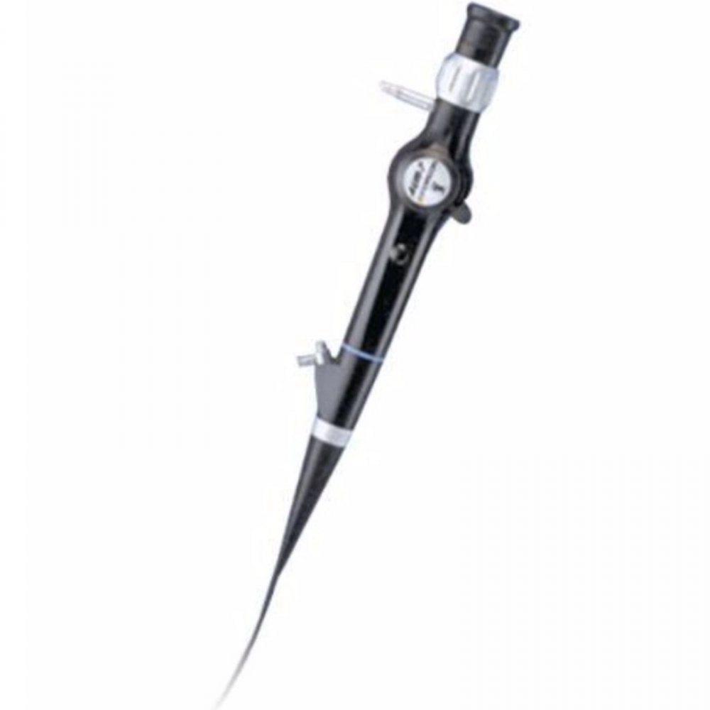 Gyrus acmi AUR-7